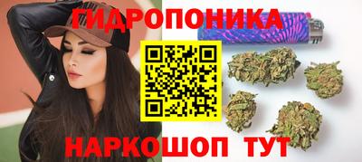 стафф Пушкино