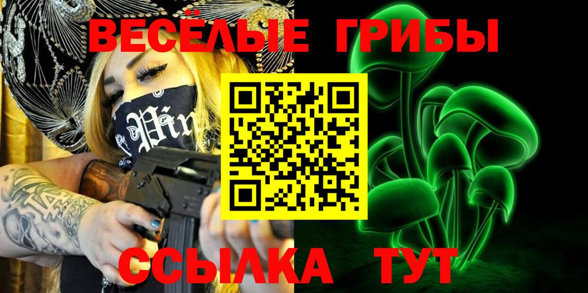 Псилоцибиновые грибы Psilocybe  Вход с VPN  Тавда 