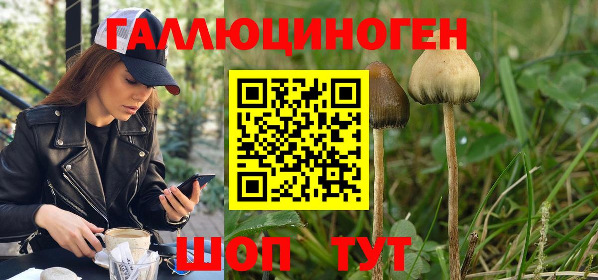 Галлюциногенные грибы мицелий Тавда